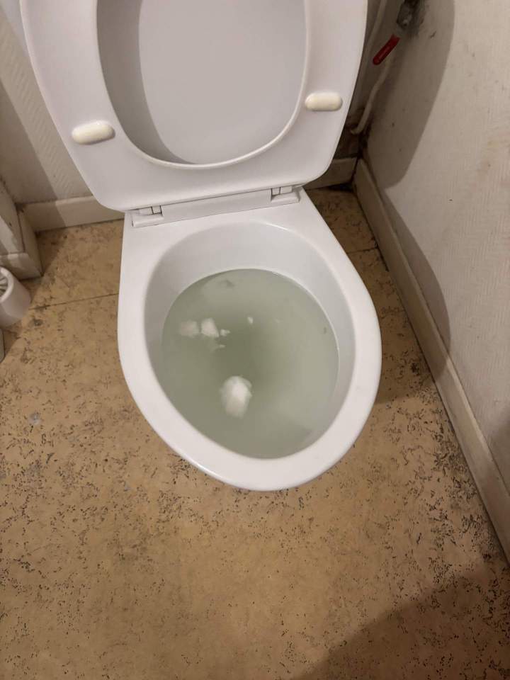 Toilettes bouchées